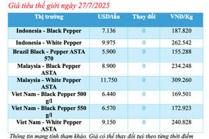 Giá tiêu hôm nay 27/7/2025: Thị trường đi ngang, Đắk Lắk giảm nhẹ