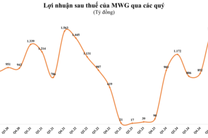 Thế Giới Di Động báo lãi quý II cao kỷ lục, lượng tiền mặt vượt 40.000 tỷ đồng