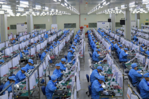 Thực thi EVFTA, kim ngạch thương mại Việt Nam - Pháp hướng đến 15 tỷ USD