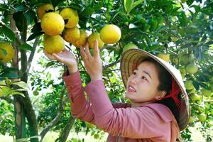 Nâng cao giá trị nông sản vùng Bắc Trung Bộ