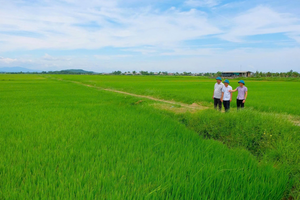Sản phẩm OCOP mở lối thoát nghèo bền vững cho người dân tộc Vĩnh Thủy