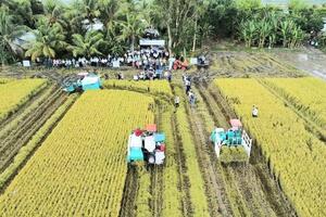 “Bệ đỡ” vững chắc cho kinh tế nông hộ phát triển bền vững