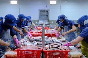 CPTPP giúp hàng Việt 'ghi dấu ấn' mạnh tại thị trường Mexico