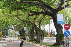 Điện lưới quốc gia hòa vào nhịp sống: Trợ lực để Côn Đảo phát triển bền vững