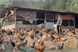 Quảng Ninh: Kích cầu tiêu thụ sản phẩm vùng dân tộc thiểu số theo hướng bền vững