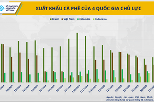 Cà phê thế giới khan hiếm, Việt Nam có phá vỡ kịch bản ‘được mùa mất giá’?