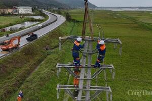 100% khách hàng bị ảnh hưởng bão số 5 được cấp điện trở lại ngày 29/8