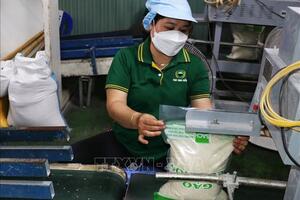 Bản tin nông sản hôm nay (28-8): Giá cà phê tăng mạnh