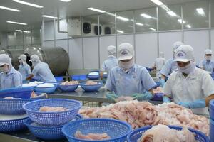 Hệ thống ngân hàng Khu vực 13: Đẩy mạnh cho vay trên địa bàn những tháng cuối năm 2025