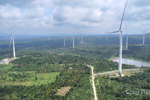 Đắk Lắk đồng ý cho 4 công ty thuê đất làm dự án điện gió