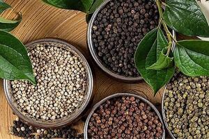 Bản tin nông sản hôm nay (3-9): Giá hồ tiêu tăng mạnh