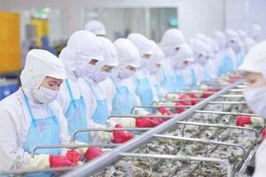 'Làm mới' thị trường truyền thống, tạo dư địa đẩy mạnh xuất khẩu