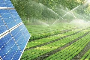 Agri-PV kết hợp nông nghiệp và năng lượng sạch cho phát triển bền vững