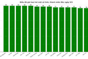 Giá heo hơi hôm nay 9/9/2025: Tăng mạnh tại nhiều địa phương