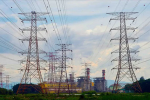 Đẩy nhanh lộ trình triển khai dự án xanh tại ASEAN