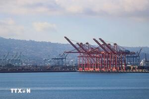 Mỹ: Tai nạn tàu biển khiến cảng lớn ở California phải đóng cửa