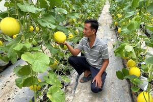 Tín dụng mở lối phát triển nông nghiệp nông thôn, “bệ đỡ” tăng trưởng kinh tế