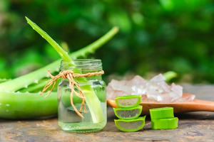 Lợi ích của nước ép nha đam đối với sức khỏe