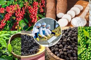 EVFTA hỗ trợ rất lớn cho hàng nông, thủy sản xuất sang Hà Lan