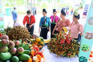 Doanh nghiệp: Chủ lực kiến tạo thị trường cho nông sản vùng cao