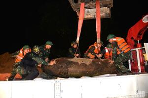 Trục vớt 2 quả bom hơn 1.300kg còn ngòi nổ gần cầu Long Biên