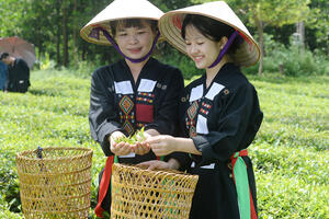 Nông sản vùng đồng bào dân tộc: Cần bảo chứng để vươn xa