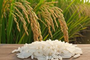 Bản tin nông sản hôm nay (20-9): Giá cà phê và hồ tiêu ổn định