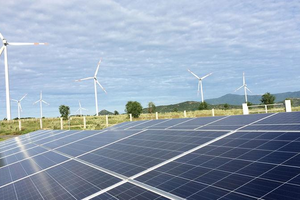 Bài học châu Á cho Việt Nam về phát triển năng lượng tái tạo