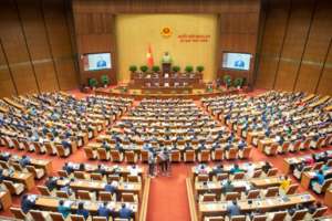 Đại hội đại biểu Đảng bộ Quốc hội lần thứ I nhiệm kỳ 2025 - 2030