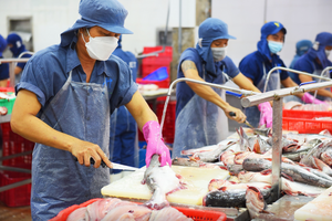 RCEP tạo 'làn gió mới' cho xuất khẩu cá tra Việt Nam