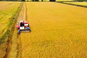 Triển khai thực hiện các nhiệm vụ, giải pháp trọng tâm thúc đẩy xuất khẩu