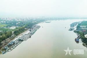 Khó phát triển vì thiếu nguồn cung giống tốt