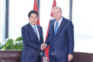 Việt Nam- Thổ Nhĩ Kỳ: Phấn đấu sớm đạt mục tiêu kim ngạch song phương 4 tỷ USD