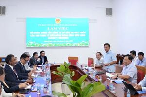 Khánh Hòa: Đối tác quốc tế đề xuất rót 10 tỷ đô la vào năng lượng sạch