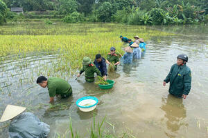 Thủ tướng: Tạo điều kiện phục hồi sản xuất, lưu thông hàng hóa sau bão lũ