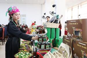 Liên kết tiêu thụ sản phẩm, nâng sinh kế cho đồng bào Lai Châu