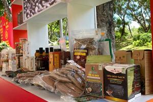 Mở rộng thị trường cho nông sản Gia Lai