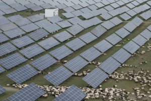 Trung Quốc mở rộng năng lượng tái tạo nhờ đổi mới công nghệ