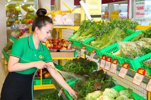 Bách Hóa Xanh tuyển dụng tại Ninh Bình, “Bắc tiến” sớm hơn dự kiến?