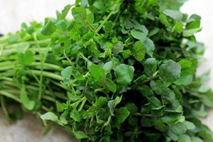 Lợi ích sức khỏe của cải xoong