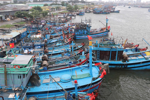 Thủ tướng yêu cầu triển khai các biện pháp ứng phó với bão số 12 và mưa lũ