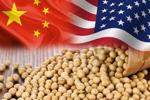 Mỹ công bố gói thỏa thuận Trung Quốc nhập khẩu 87 triệu tấn đậu nành