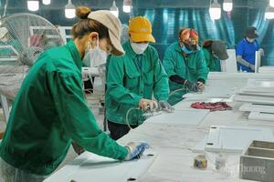 Gia Lai: Công nghiệp, thương mại khởi sắc, xuất khẩu vượt 2,9 tỷ USD