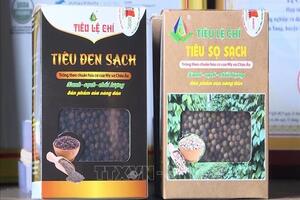Bản tin nông sản hôm nay (12-11): Giá hồ tiêu và cà phê đồng loạt giảm