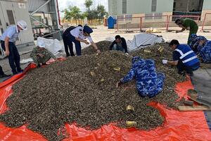 Thu giữ, điều tra vụ tuồn lậu 25 tấn vỏ đạn quân dụng vào Việt Nam