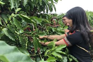 Những mặt hàng nông sản Việt lập kỷ lục mới