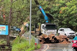 Lâm Đồng khẩn cấp gia cố đèo Mimosa