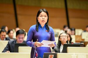 Dự án Luật Quy hoạch (sửa đổi): Khắc phục tình trạng phân mảnh trong quy hoạch