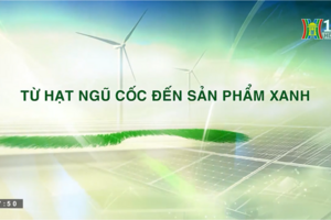 Chương trình “Chuyển đổi xanh” – Đài Hà Nội: Xanh hóa tư duy, thay đổi từ nhận thức đến hành động