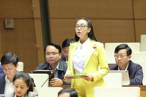 Đại biểu Quốc hội: Cần nêu cao yêu cầu bảo đảm quốc phòng, an ninh liên quan đến tài nguyên đất hiếm